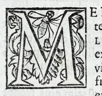 An illustration from Carmina marmoribus Arundelianis fortasse perenniora : in promotione ad sacram purpuram eminentissimi & reuerendissimi principis, Philippi Thomae Houuardi, ex Norfolciae ducibus, & comitibus Arundeliae &c. S.R.E. cardinalis (1676)