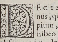 An illustration from Caroli Clusii Atrebat. Rariorum aliquot stirpium per Hispanias obseruatarum historia, : libris duobus expressa (1576)