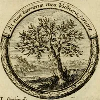 An illustration from Caroli Ruaei e Societate Jesu Carminum libri quatuor (1688)