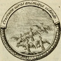 Picture 19 of 34 from Caroli Ruaei e Societate Jesu Carminum libri quatuor (1688), leaf 178
