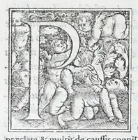 Picture 10 of 13 from Caroli Sigonii De antiqvo ivre civivm Romanorvm Italiae, provinciarvm, Romanae ivrisprvdentiae iudiciis, tum priuatis, tum publicis, eorúmque ratione libri XI : quibus Romani historici, oratores, iurisprudentes, locis innumerabilibus, ex abditis monumentis, explicantur : eivsdem de repvblica Atheniensivm, eorvmqve ac Lacedaemoniorvm temporibvs, libri qvinqvue .. (1576), leaf 566