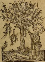 An illustration from Caroli Stephani, De nutrimentis, ad Baillyum, libri tres (1550)