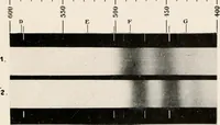 An illustration from Carotinoids and related pigments : the chromolipoids (1922)