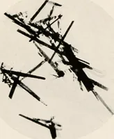 An illustration from Carotinoids and related pigments : the chromolipoids (1922)