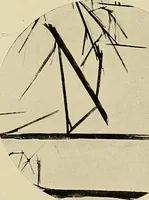 An illustration from Carotinoids and related pigments; the chromolipoids (1922)