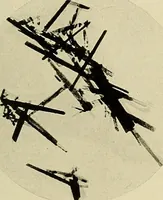 An illustration from Carotinoids and related pigments; the chromolipoids (1922)
