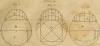 An illustration from The carpenter's new guide: being a complete book of lines for carpentry and joinery. Treating fully on practical geometry, soffits, brick and plaster groins ... with a great variety of designs for roofs, trussed girders ... with many other things entirely new: the whole founded on true geometrical principles; the theory and practice well explained and fully exemplified on eighty-four copper-plates; including some observations and calculations on the strength of timber (1830)