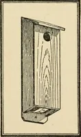 An illustration from Carpentry for beginners; (1917)