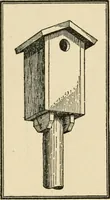 An illustration from Carpentry for beginners; (1917)