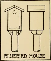 An illustration from Carpentry for beginners; (1917)