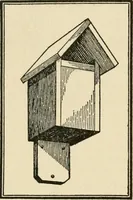 An illustration from Carpentry for beginners; (1917)