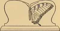 An illustration from Carpentry and woodwork (1911)