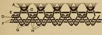 An illustration from Carpets (1919)
