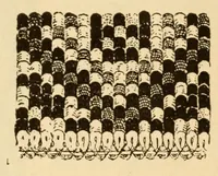 Picture 17 of 17 from Carpets (1919), leaf 98