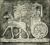 An illustration from Carriages & coaches : their history & their evolution (1912)