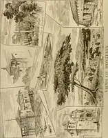 Picture 51 of 120 from The Carrier dove (1884), leaf 207