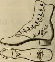 An illustration from The Carrier dove (1884)