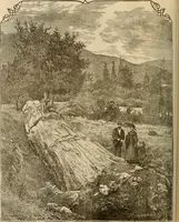 Picture 67 of 120 from The Carrier dove (1884), leaf 267