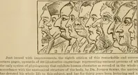 Picture 8 of 120 from The Carrier dove (1884), leaf 29