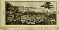 Picture 76 of 120 from The Carrier dove (1884), leaf 306