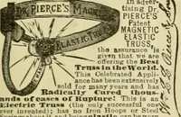 Picture 105 of 120 from The Carrier dove (1884), leaf 476