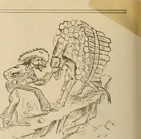 An illustration from The Carrier dove (1884)