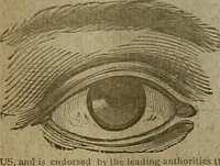 An illustration from The Carrier dove (1884)