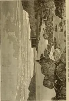 Picture 4 of 120 from The Carrier dove (1884), leaf 9