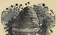 Picture 12 of 12 from Carrier reading-book (1894), leaf 110