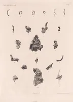 An illustration from Carte géologique du Katanga et notes descriptives (1908)