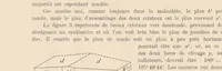 An illustration from Carte géologique du Katanga et notes descriptives (1908)