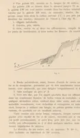 An illustration from Carte géologique du Katanga et notes descriptives (1908)