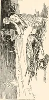 An illustration from Cartoons by Bradley, cartoonist of the Chicago Daily News; (1917)