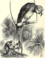 An illustration from Cartoons : Selected from the pages of "Punch" (1901)