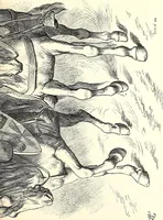 An illustration from Cartoons : Selected from the pages of "Punch" (1901)