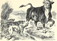 An illustration from Cartoons : Selected from the pages of "Punch" (1901)