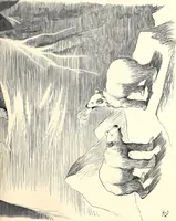 An illustration from Cartoons : Selected from the pages of "Punch" (1901)