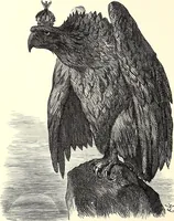 An illustration from Cartoons : Selected from the pages of "Punch" (1901)