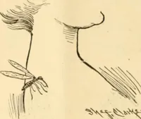 An illustration from Caricature. ed 1913 (1913)