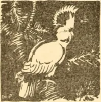An illustration from Caricature. ed 1913 (1913)