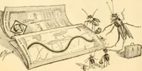 An illustration from Caricature. ed 1913 (1913)