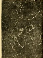 An illustration from The car wheel; giving the results of a series of investigations (1907)