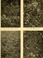 An illustration from The car wheel; giving the results of a series of investigations (1907)