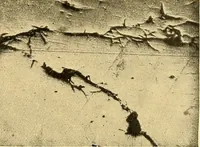 An illustration from The car wheel; giving the results of a series of investigations (1907)