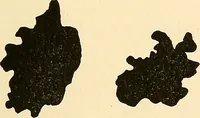 An illustration from The car wheel; giving the results of a series of investigations (1907)