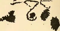 An illustration from The car wheel; giving the results of a series of investigations (1907)