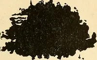 An illustration from The car wheel; giving the results of a series of investigations (1907)