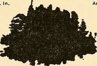 An illustration from The car wheel; giving the results of a series of investigations (1907)