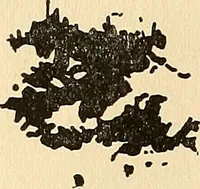 An illustration from The car wheel; giving the results of a series of investigations (1907)