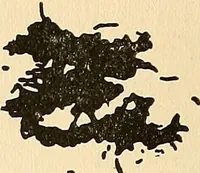 An illustration from The car wheel; giving the results of a series of investigations (1907)